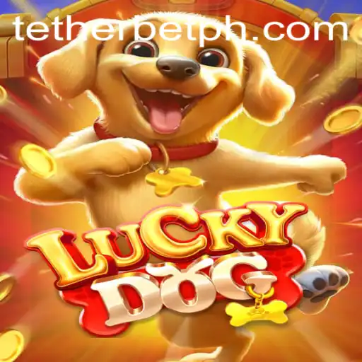 Exploring the Innovative World of LuckyDog: Understanding Tether Bet